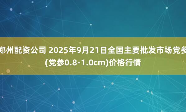 郑州配资公司 2025年9月21日全国主要批发市场党参(党参0.8-1.0cm)价格行情