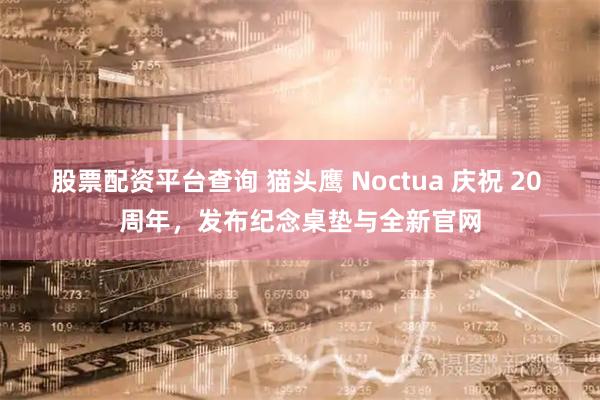 股票配资平台查询 猫头鹰 Noctua 庆祝 20 周年，发布纪念桌垫与全新官网