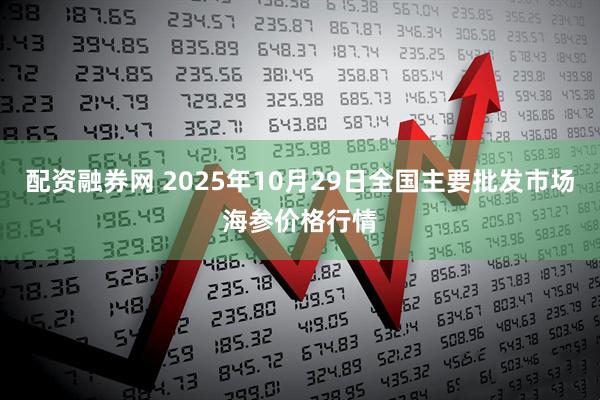 配资融券网 2025年10月29日全国主要批发市场海参价格行情
