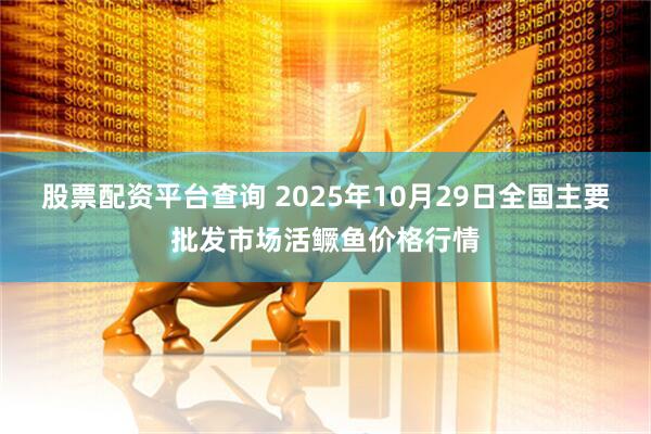 股票配资平台查询 2025年10月29日全国主要批发市场活鳜鱼价格行情