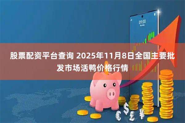 股票配资平台查询 2025年11月8日全国主要批发市场活鸭价格行情
