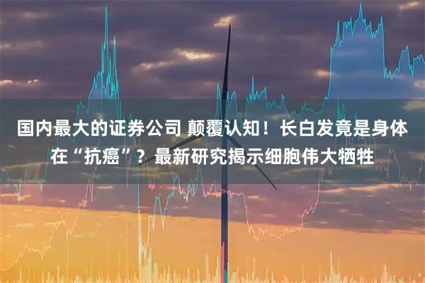 国内最大的证券公司 颠覆认知！长白发竟是身体在“抗癌”？最新研究揭示细胞伟大牺牲